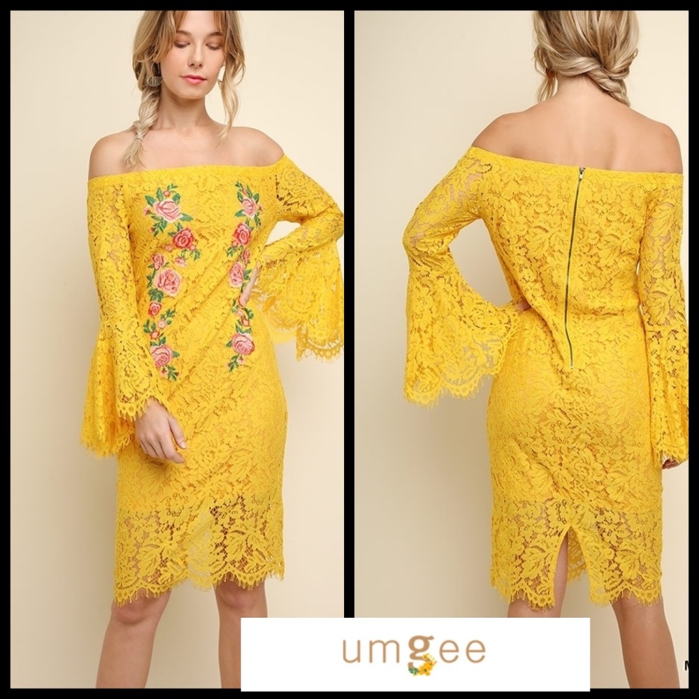 Umgee Lace Dress With Floral Embroidery